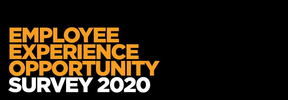 2020 Employee Experience Opportunity (EXO) survey